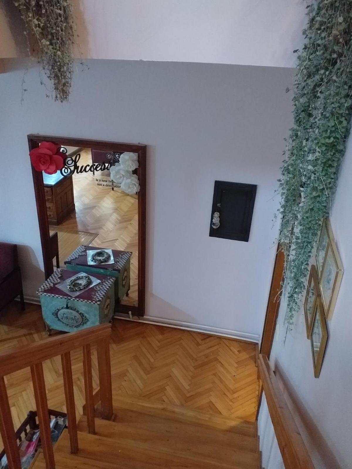 Vila Regina Palić Extérieur photo