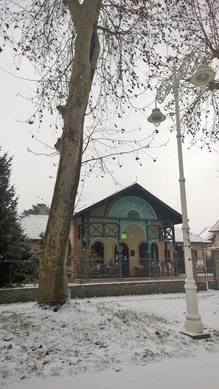 Vila Regina Palić Extérieur photo