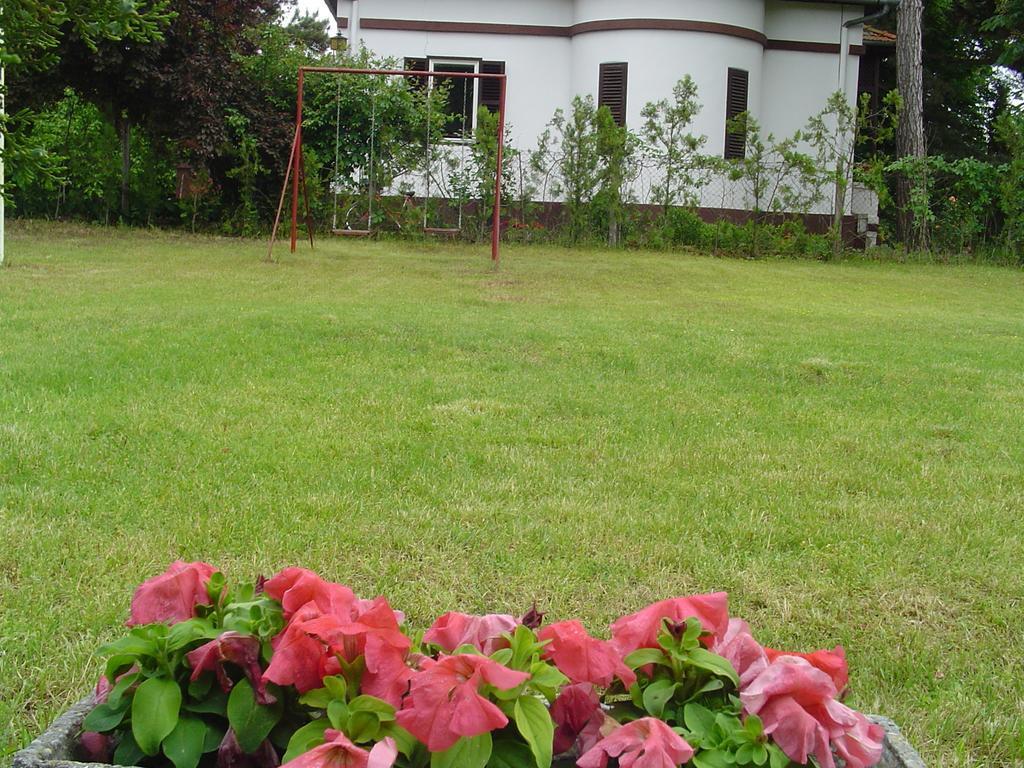 Vila Regina Palić Chambre photo